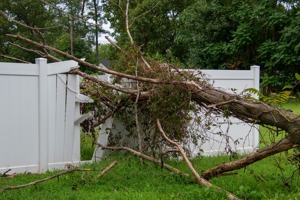City of Farmington Hills Reminds Community Members of Debris Removal Guidelines Following High Winds in March