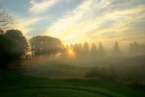 A foggy field with trees and a house in the background

AI-generated content may be incorrect.