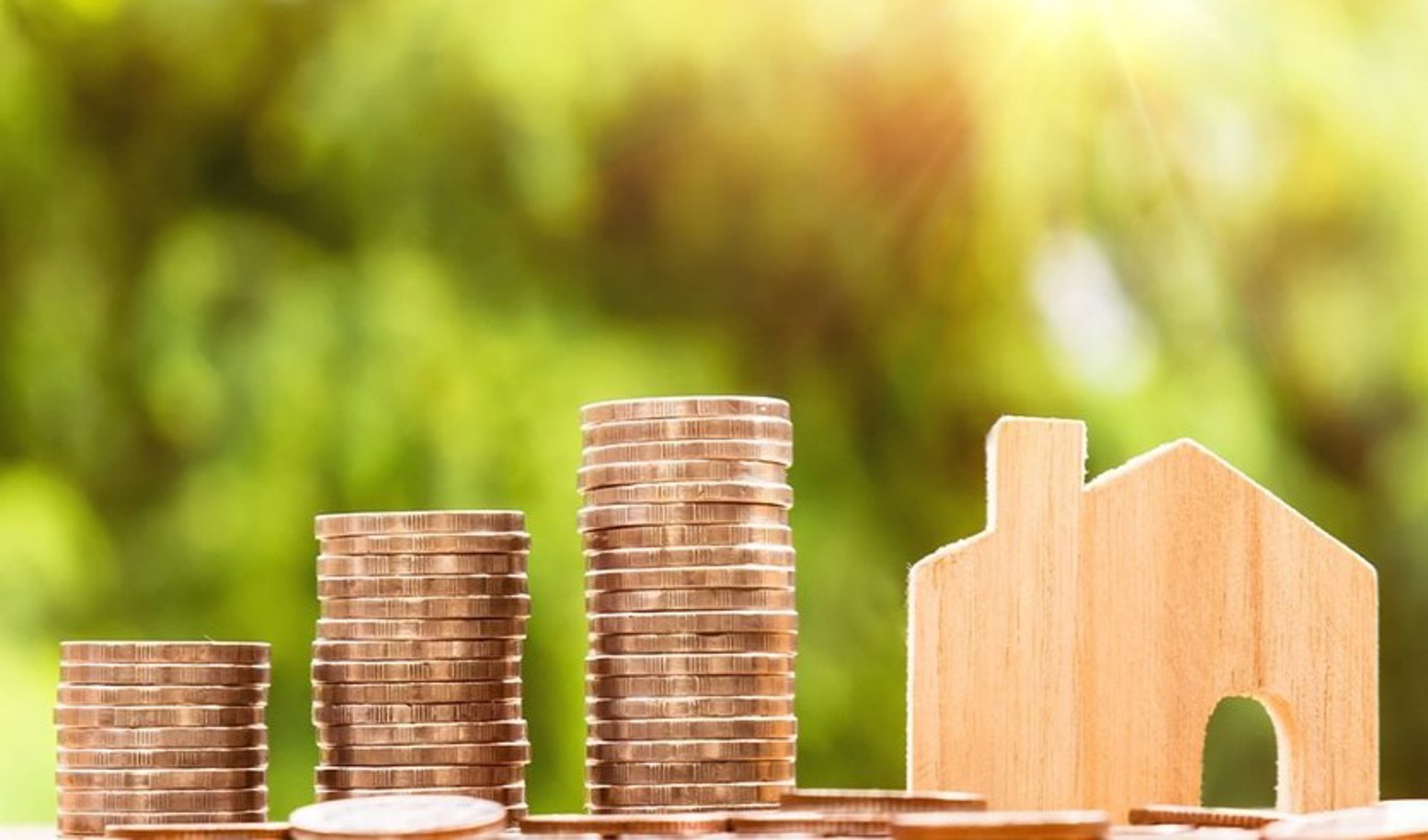 Image Assessment Board Of Review