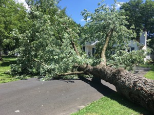 City of Farmington Hills Reminds Community Members of Debris Removal Guidelines Following Late August Storm