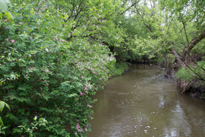 How to Report Illegal Dumping