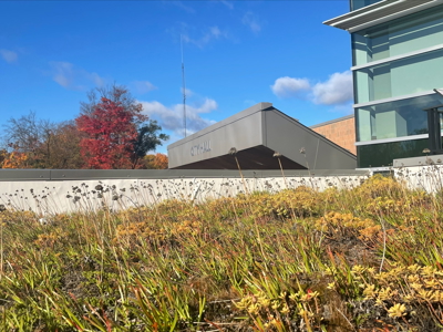 Innovation, Energy, and Environmental Sustainability Commission (IEESC)