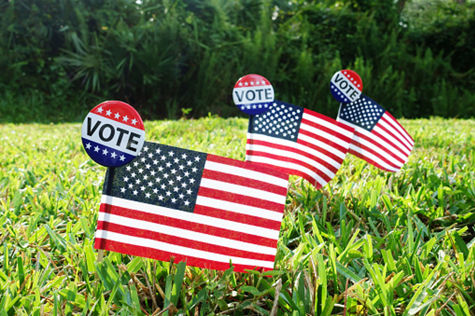 Image Committee To Increase Voter Participation